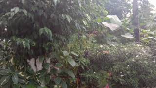 #Nature'sPicsSlide#  Natures pics slide with beautiful music background... screenshot 4
