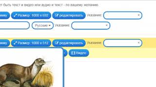 Создаем упражнение "Найди пару" на сервисе learningapps.org