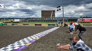Corgi Sunday Qualifier heat 8 at Emerald Downs 