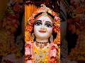 মায়াপুরের শ্রীমতী রাধারানীর অপূর্ব দর্শন | Mayapur Radha Rani Darshan | ISKCON Mayapur