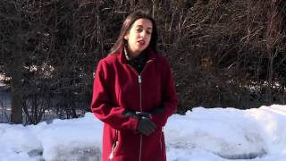 Exploring EACOM's Elk Lake sawmill