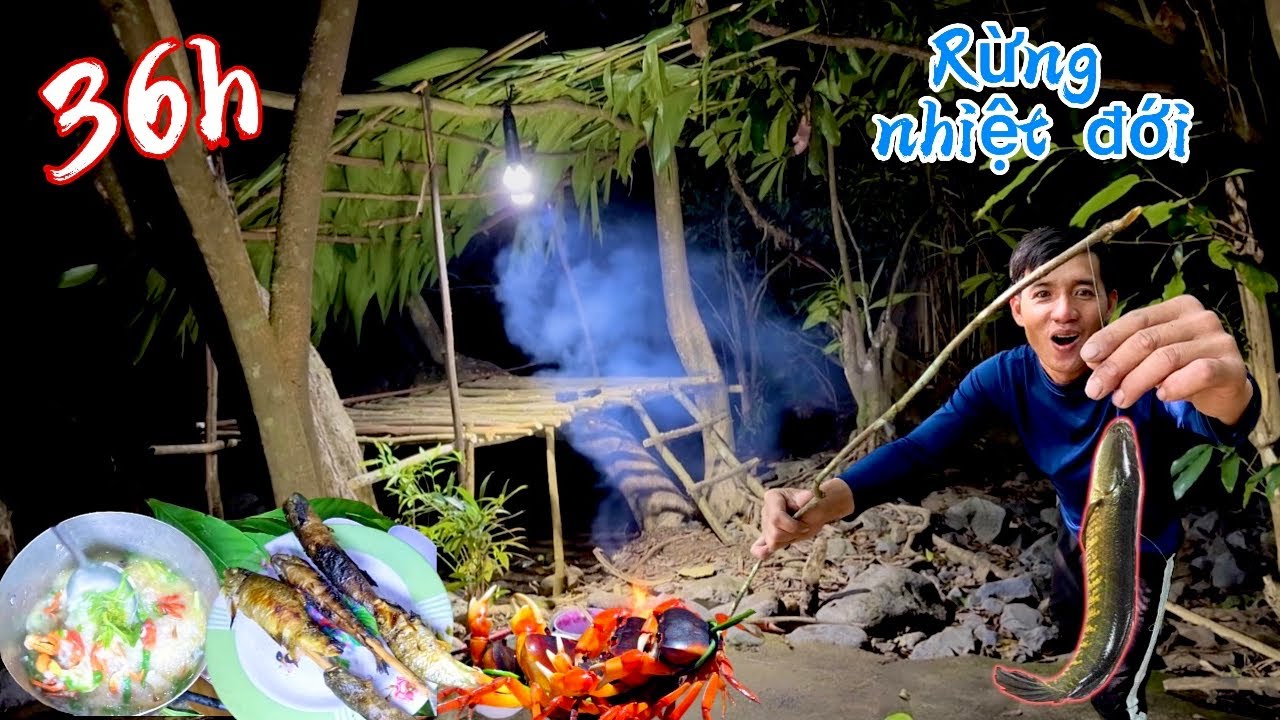 36h sống trong rừng nhiệt đới câu cá soi đêm tìm thức ăn sinh tồn | 36 hours in the rainforest
