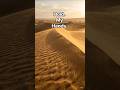 Watch the Sand Move Like Water… 🌪️ #earth #desert #natureshiddenmovements