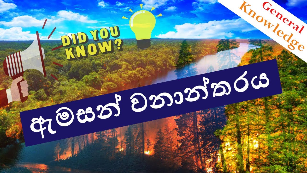 Amazon Jungle (ඇමසන් වැසිවනාන්තරය) General Knowledge amazon in