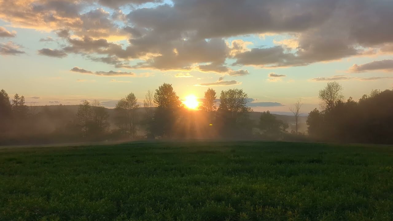 Relaxing Nature Sounds - Misty sunrise and singing birds
