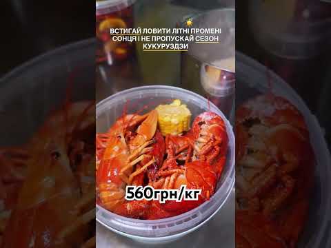 Для замовлення звʼяжіться з менеджером у вайбері+380960572236 #раки #раки #доставкараків #живірак