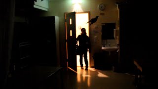 Mörkö (2011) Final Cut Trailer