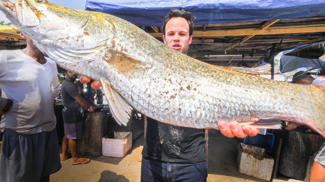 MASSIVE Seafood FEAST in Sri Lanka - INSANE Fish Market and HOME COOKED Sri Lankan FISH CURRY HEAVEN | The Food Ranger