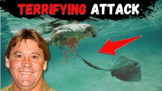 TERRIFYING Footage of Steve Irwin's Last Dive