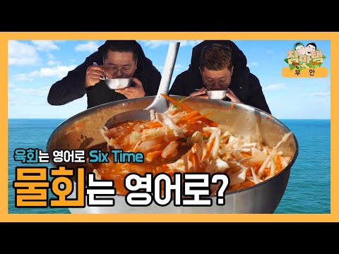 바다에서 물회를 만들어보았다 [참맛탱] (부안3편)