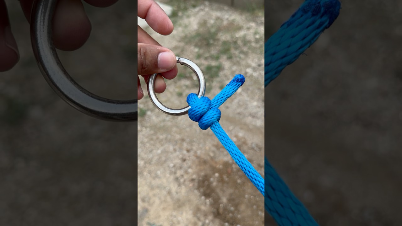 Cow Hitch OR Bull Hitch!