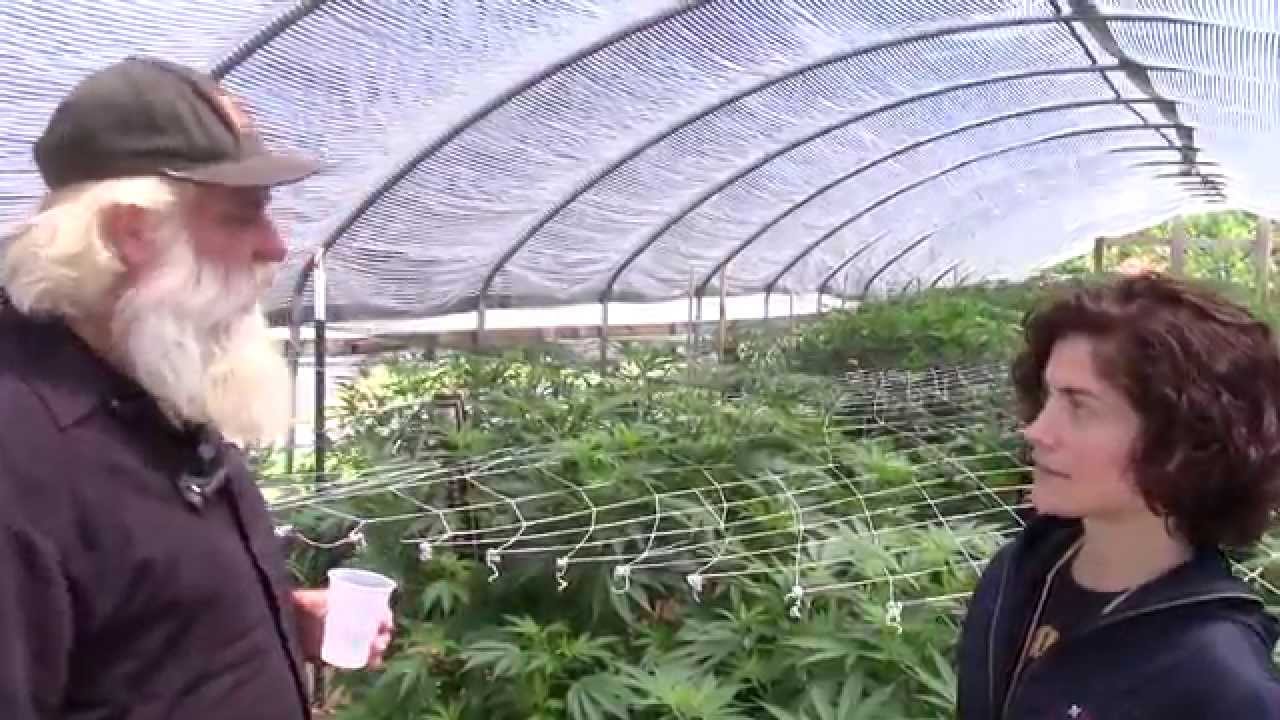 Visiting Farmer Tom's Organic Cannabis Gardens