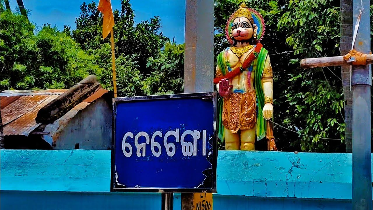 Nettanga Ganjam | ନେଟଙ୍ଗା ଗଞ୍ଜାମ | nettanga vlog |