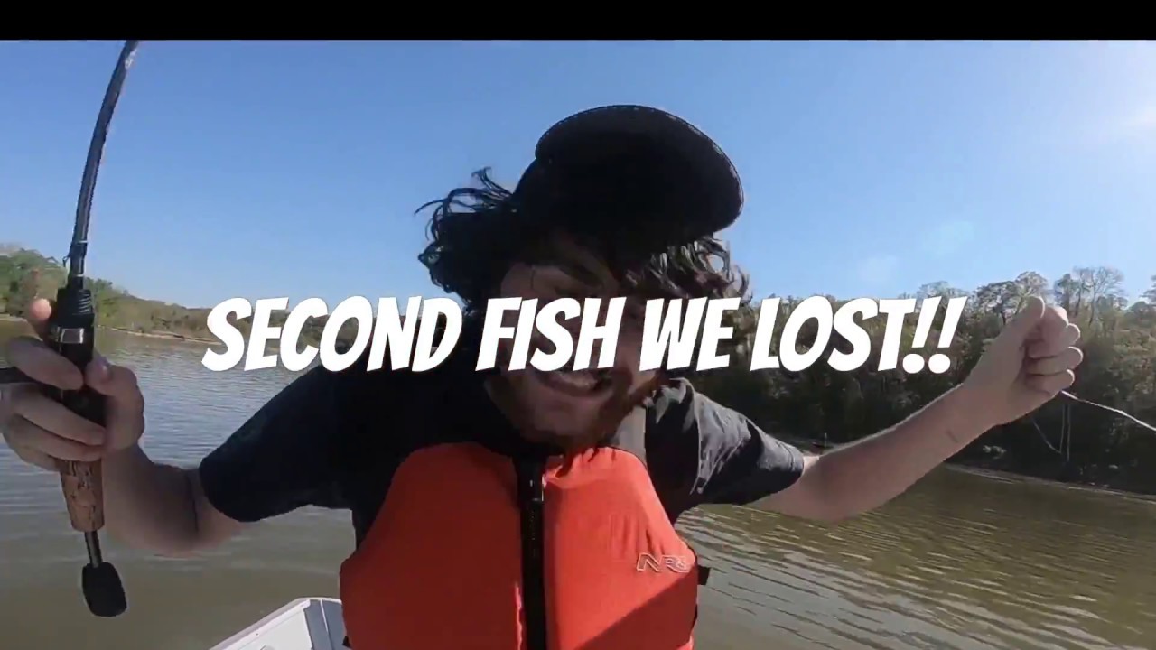 We rent a row boat and go Shad fishing fletchers cove...WE MISSED SOME HUGE ONES! YouTube