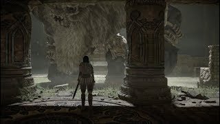 Shadow of the Colossus PS4 - VI Barba, Belua Maximus
