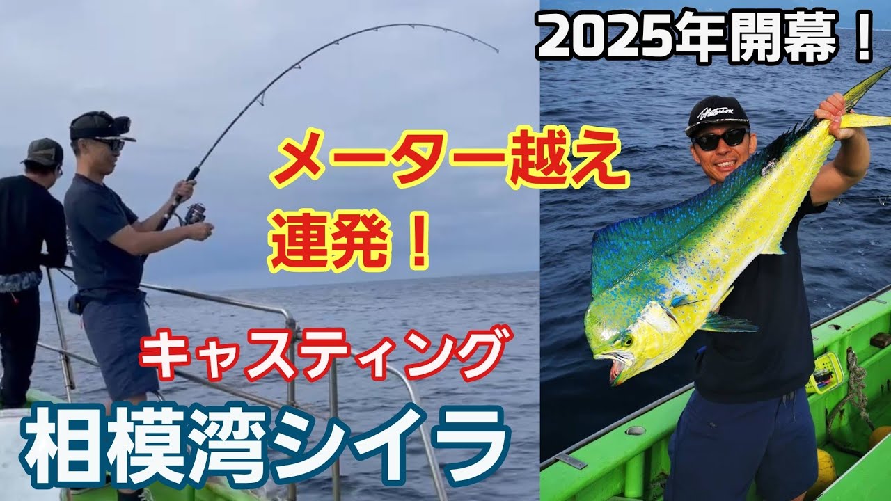 Sagami Bay Dolphin Fishing 2025] Casting lure fishing, over meter