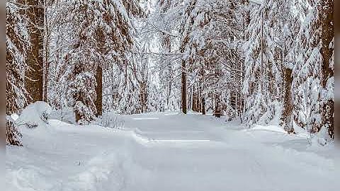 سورة غافر بصوت الشيخ سعود الشريم Surah Ghafer with the voice of Sheikh Saud Al-Shuraim