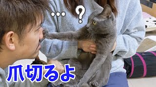 1ヶ月ぶりに猫4匹の爪切りします！！
