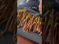 رقم في اليمن والشرق الاوسط العنوان صنعاء الحصبة سوق الرشيد للحجز الإستفسار 771603067 رقم في اليمن والشرق الاوسط العنوان صنعاء الحصبة سوق الرشيد للحجز الإستفسار 771603067