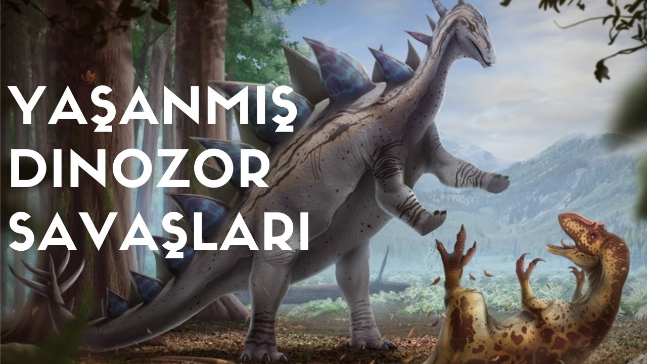 Gerçekten yaşanmış dinozor dövüşleri!