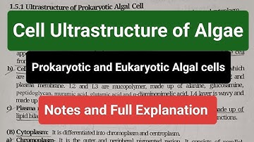 Cell ultrastructure of algae | Prokaryotic and Eukaryotic algal cells #notes #mscbotany #bsc #yt