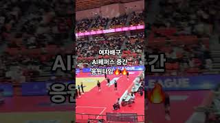 여자배구 페퍼저축은행 중간 응원열기