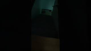 Roomba falling down stairs. ORIGINAL VIDEO