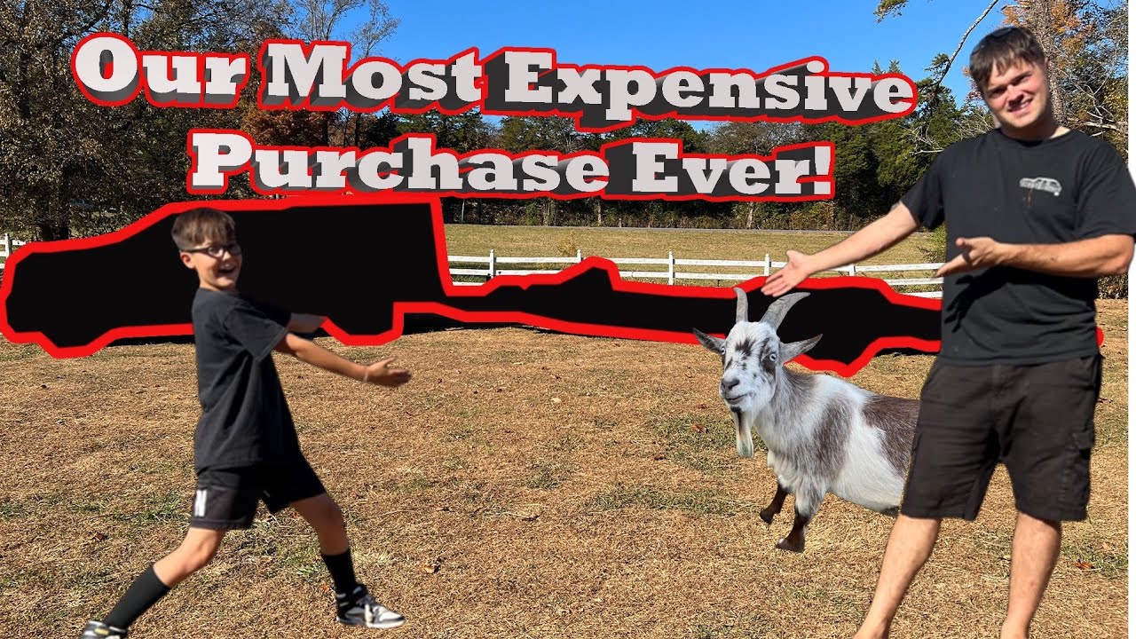 how-much-did-we-spend-big-time-upgrades-ralphie-is-soo-excited