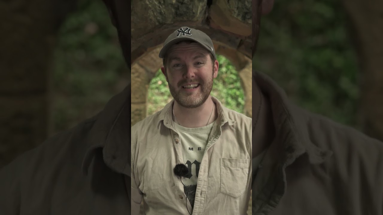 Chaos Rising Kickstarter mini  