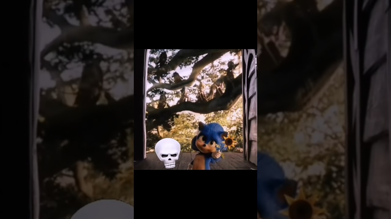 Sonic was attacked☠️ 