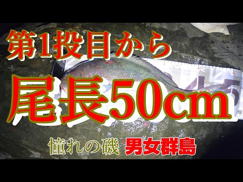 男女群島 - YouTube