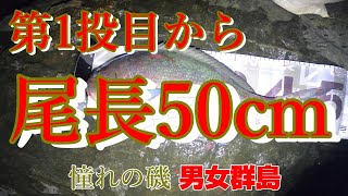憧れの磯男女群島　完全保存版 憧れの磯男女群島 完全保存版 - メルカリ