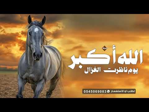 شيلة الله أكبر يوم ناضرت العزال رقص اداء بندر الذرفي 2025