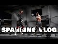 Half pipes and thai shorts sparring vlog