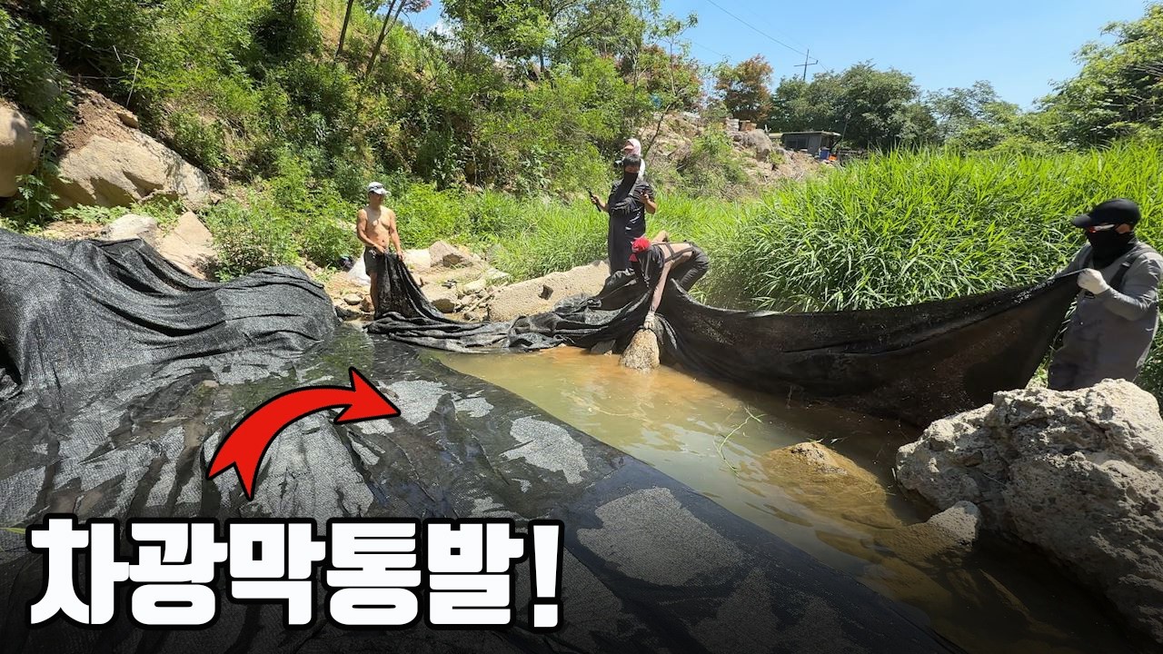 계곡 웅덩이를 차광막으로 모두 덮어버리면 낮에도 야행성 물고기가 잡힐까?