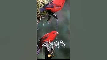 # سبحان الله وبحمده سبحان الله العظيم #دعاء #اذكار #قرآن