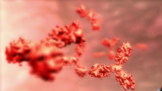 New study looks at confusing aspect of COVID-19