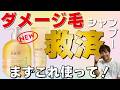 【今回も期待大】花王の新作メルトについて徹底解説します!