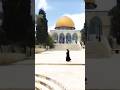 11 दिसंबर 2024#is Islamic widal search video