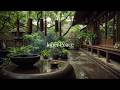 Ancient Echoes | Chinese Meditation Music with Guzheng and Pipa 🍃