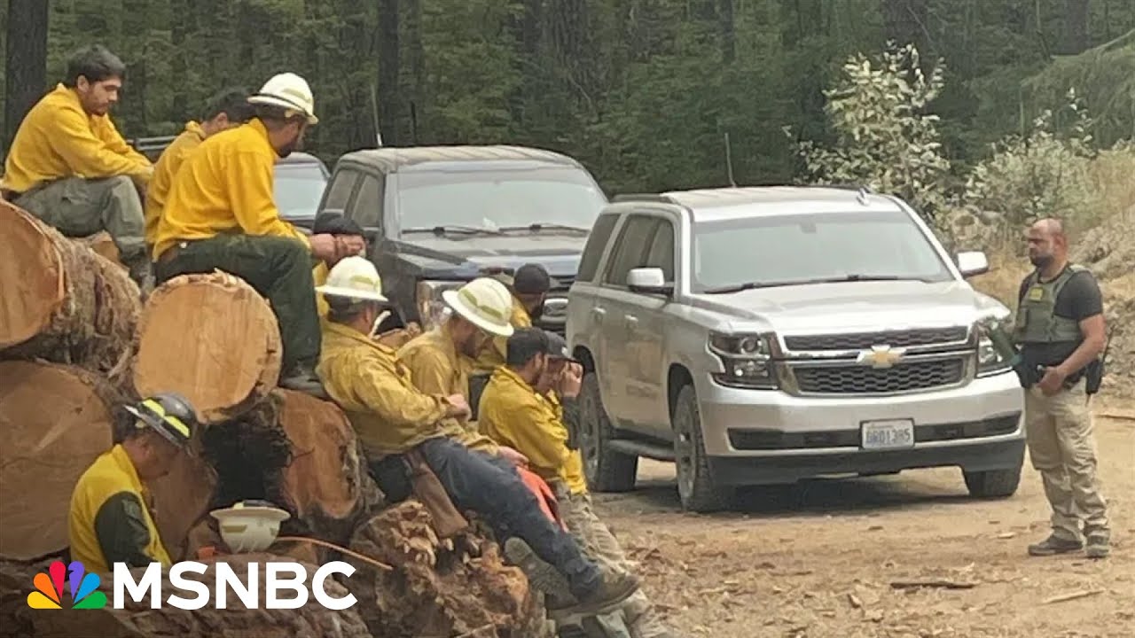 'F---ing crazy': ICE swoops in on firefighters IN THE MIDDLE of battling wildfire
