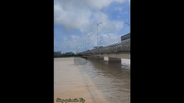 Đò đã dần xa cầu Rạch Miễu mang 2 anh em Tiền Giang Bến Tre dần xa khuất #shorts #songque