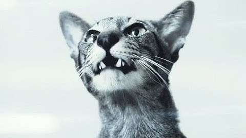 I Are Droid - Given Is Given (Part I) (Official Video)