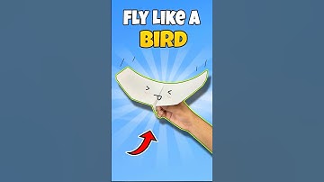 How to Make Amazing Bird Paper Plane that Fly Far
