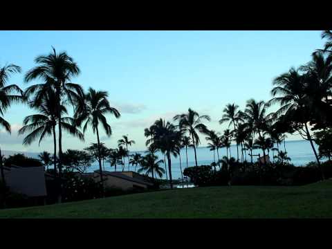 Maui Morning -