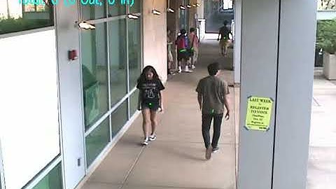 Identifying demographic details (Age and Gender) from a Surveillance video