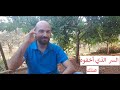 السر الذي سيغير نظرتك عن تربية الدجاج البلدي 