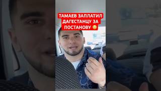 Тамаев Заплатил Wengallbi Чтобы Он Слил Гонку! 😳 #Shorts #Дагестан #Чечня
