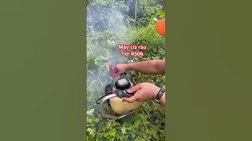 Máy tỉa hàng rào Nhật Bãi. Zl 0989 037 678