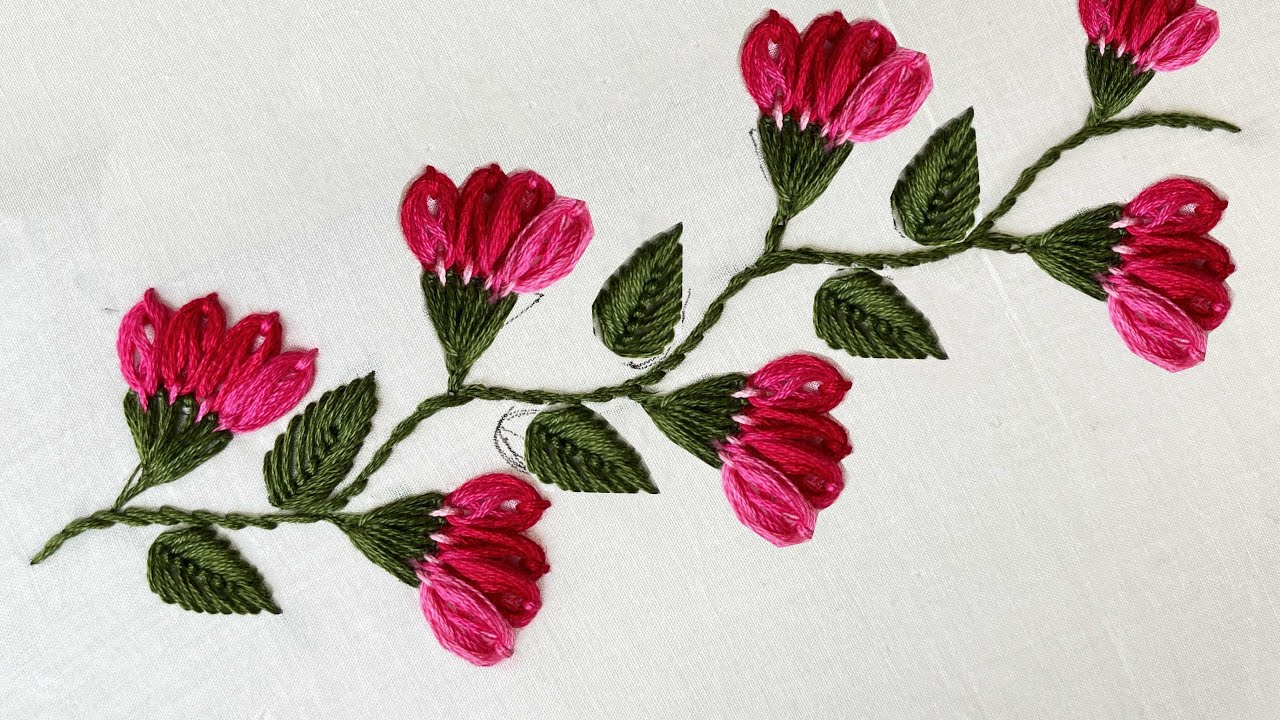 Eye Catching Brazilian Embroidery Stitches - Ari Embroidery With Needle -Stunning Border Embroidery